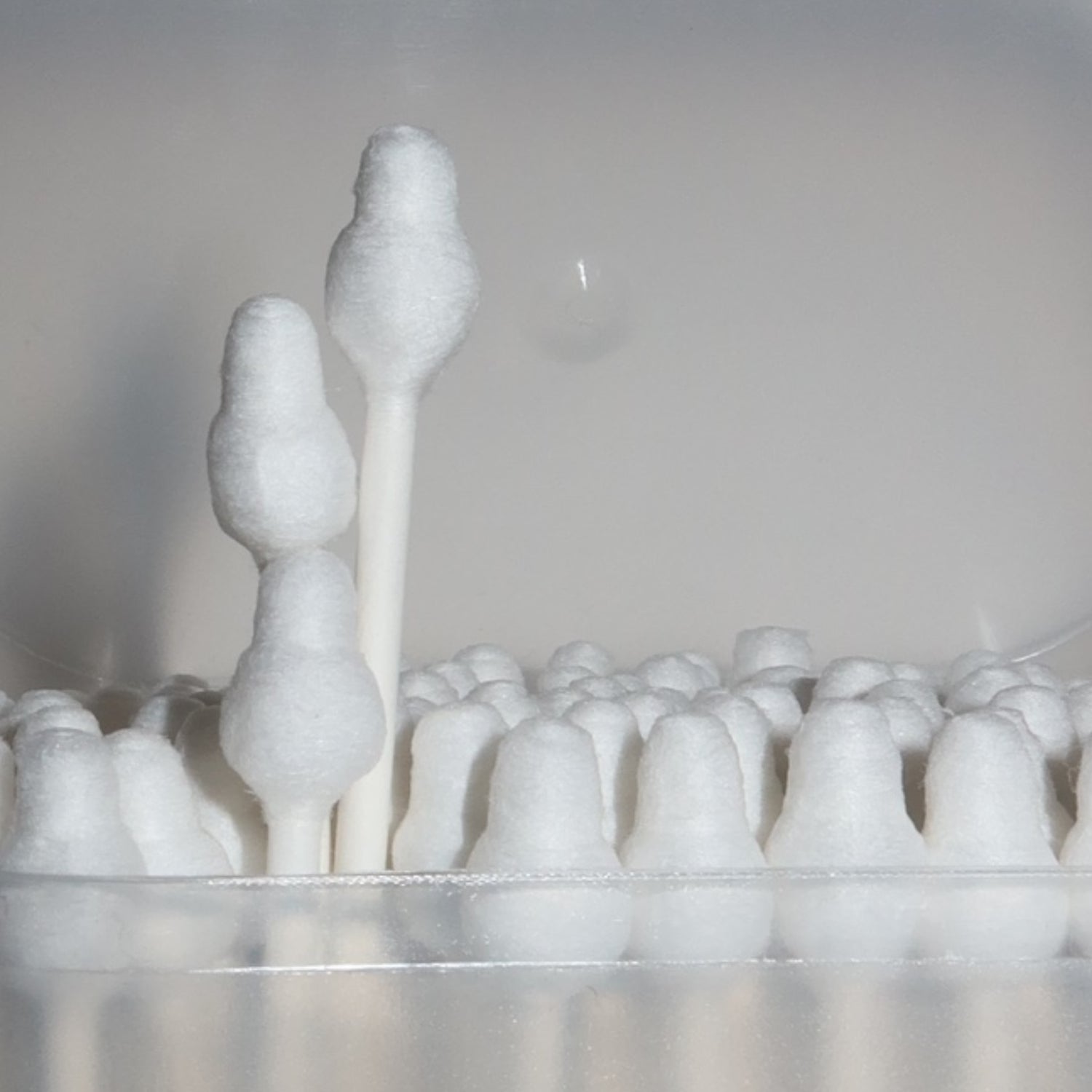 COTTON SWAB
