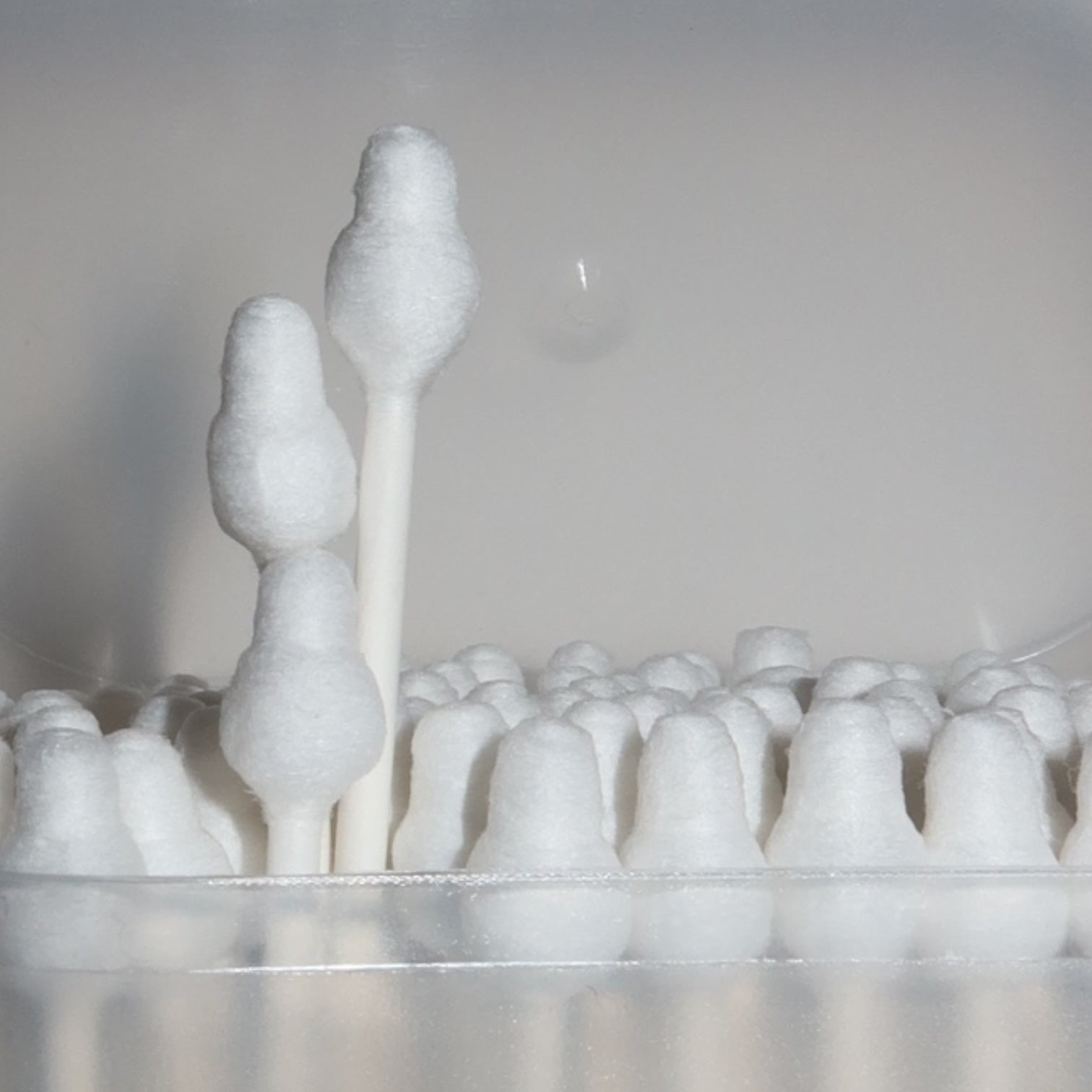 COTTON SWAB